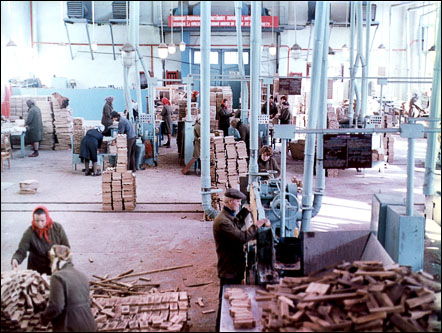 workers of  block parquet workshop of the Kivertsy wood processing enterprise in Soviet Union time